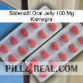 Sildenafil Oral Jelly 100Mg Kamagra 19